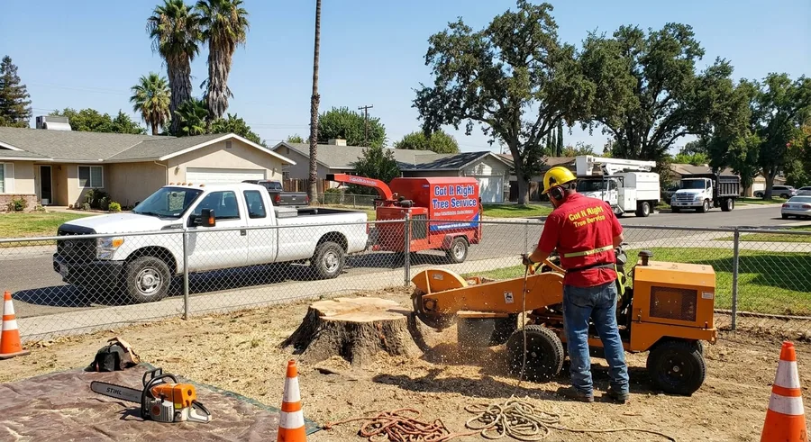 Cut Rite Tree Service stump grinding on a Fresno job